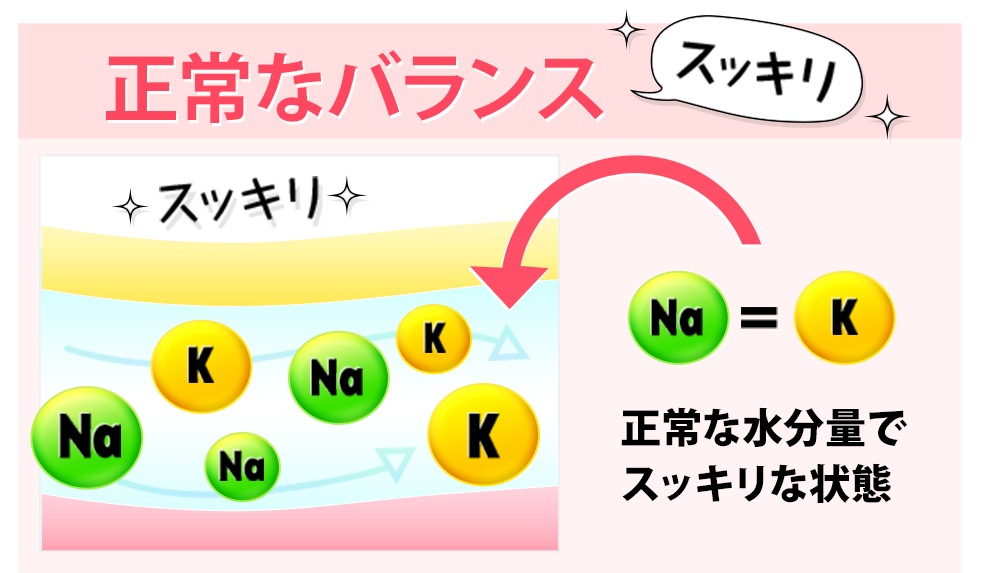 正常なバランス スッキリ 正常な水分量でスッキリな状態