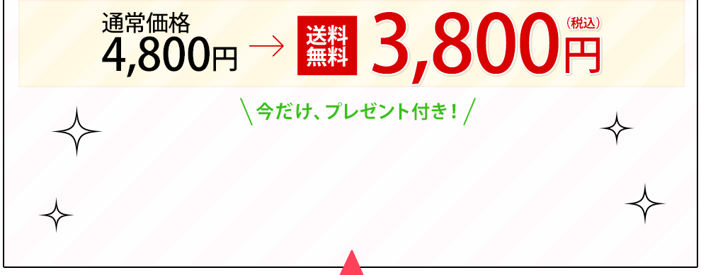 通常価格4800円が、送料無料3800円 今だけプレゼント付き！