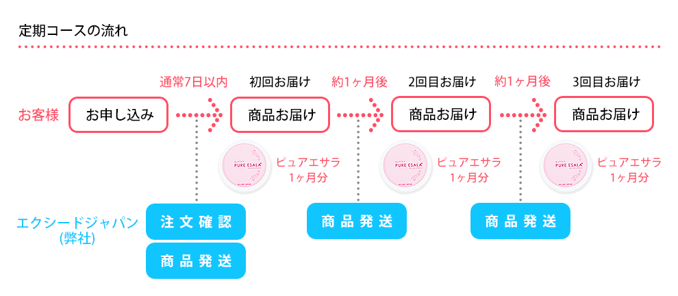 定期コースの流れ